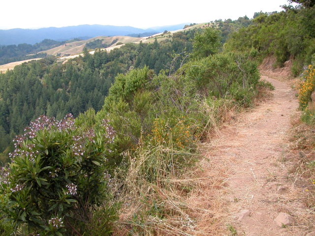 Skyline Ridge Roop View northwest