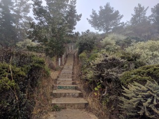 Bay Area Hiker: Sweeney Ridge from Skyline College