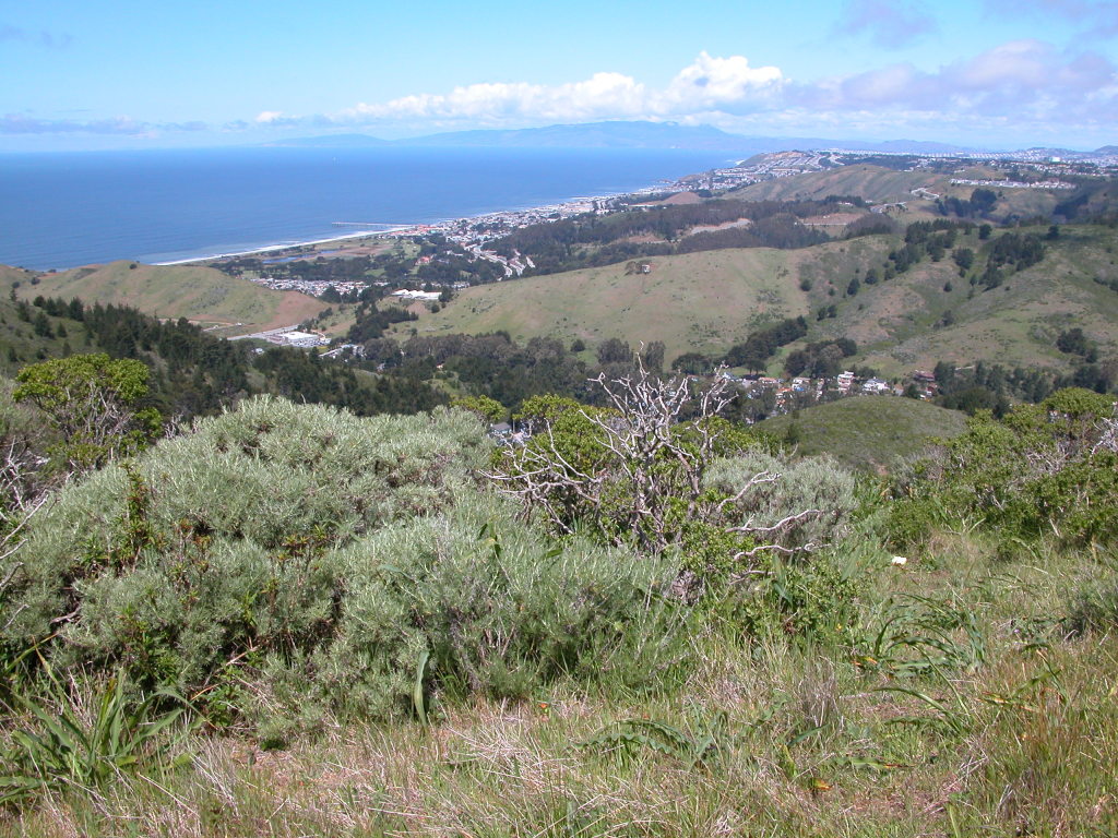 San Bruno