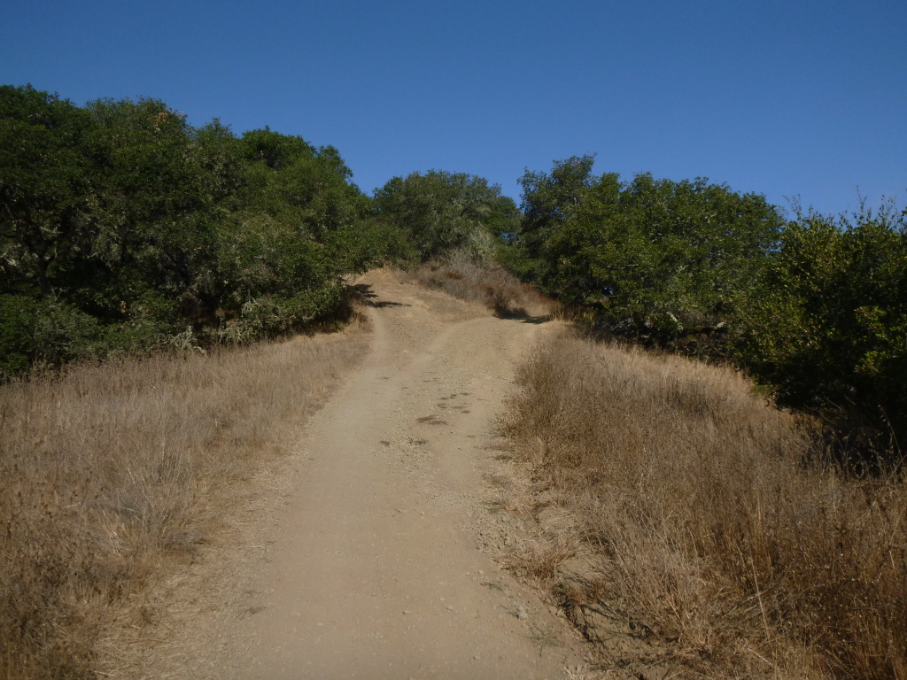 Unofficial trail heads up to hilltop on the left