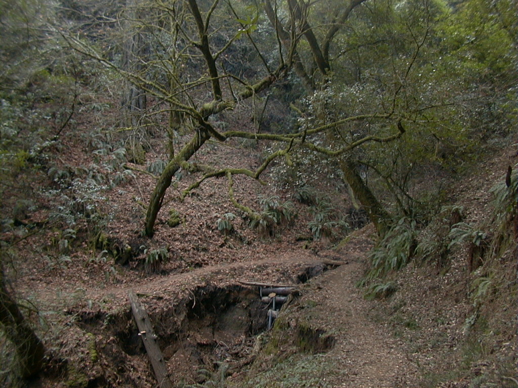 Windy Hill Trail Map Bay Area Hiker: Lost Trail, Windy Hill Open Space Preserve